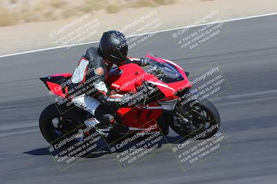 media/Apr-09-2023-SoCal Trackdays (Sun) [[333f347954]]/Turn 12 Inside (930am)/